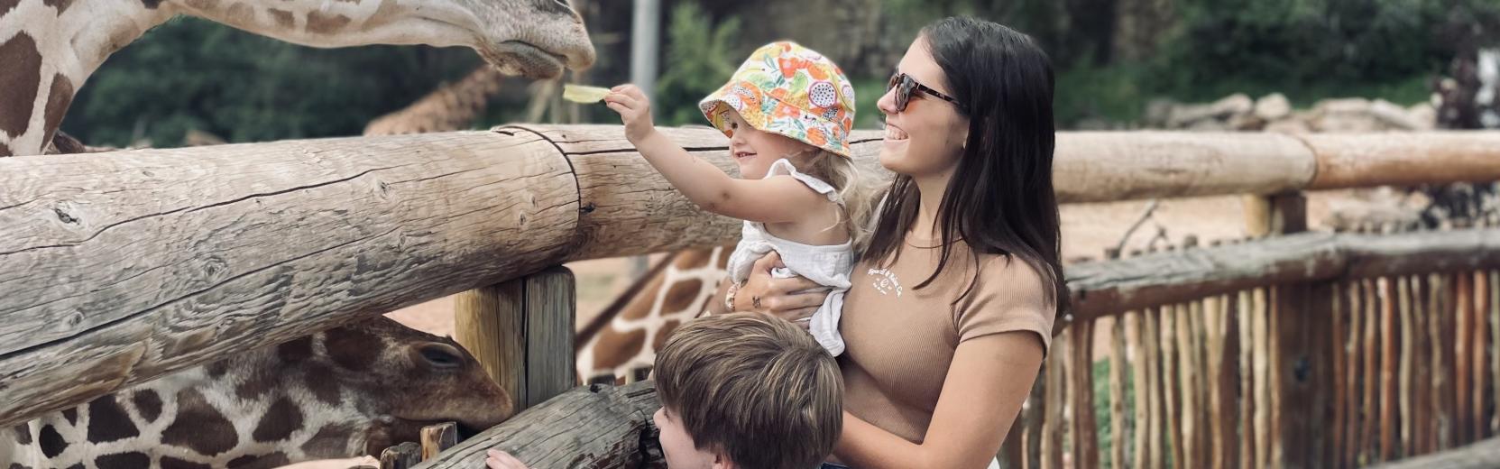 au pair with two host kids in a zoo feeding giraffes