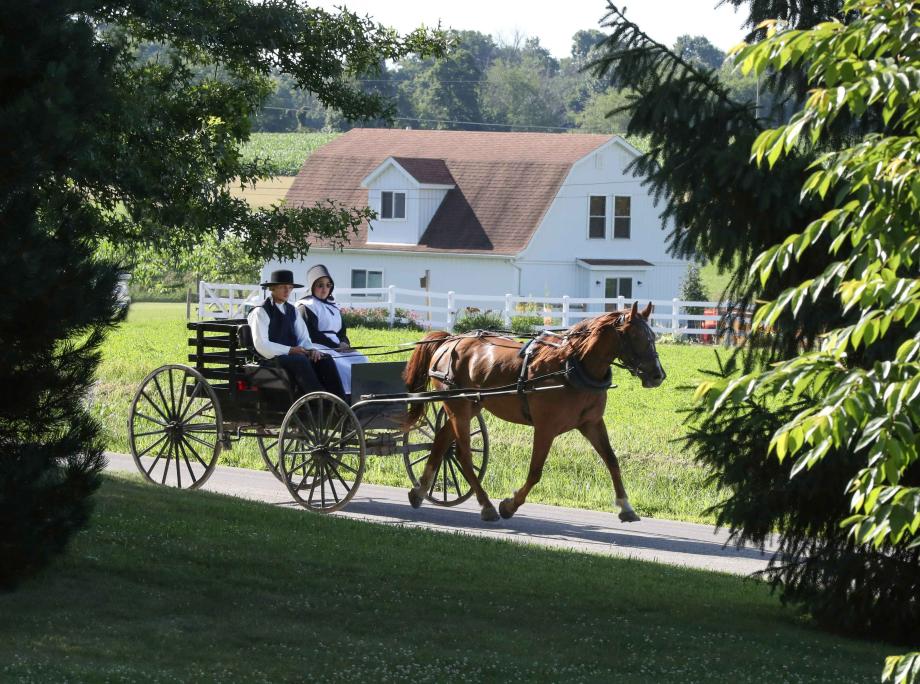 amish couple in a horse-drawn carriage
