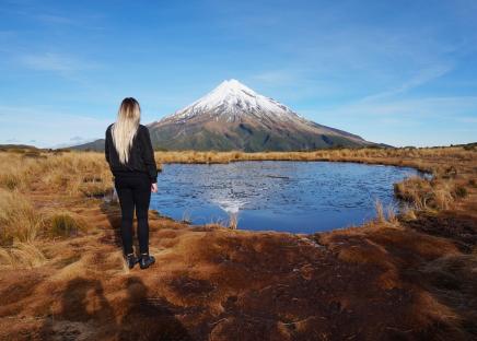 New zealand program offer