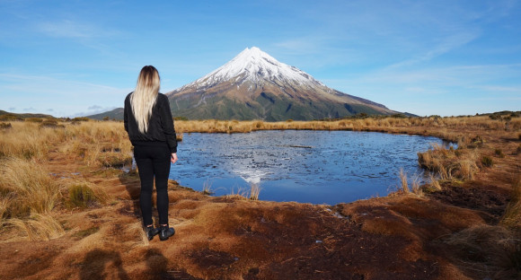 New zealand program offer